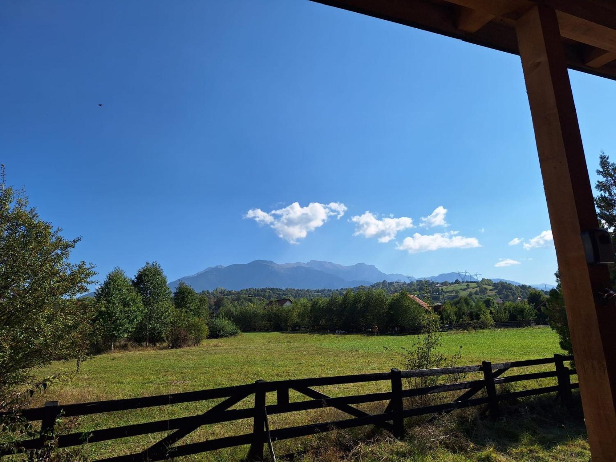 Bran White Clouds House And Chalet Zewnętrze zdjęcie