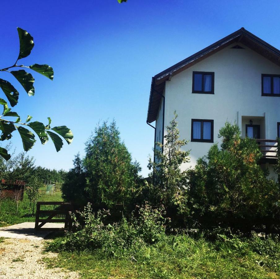 Bran White Clouds House And Chalet Zewnętrze zdjęcie