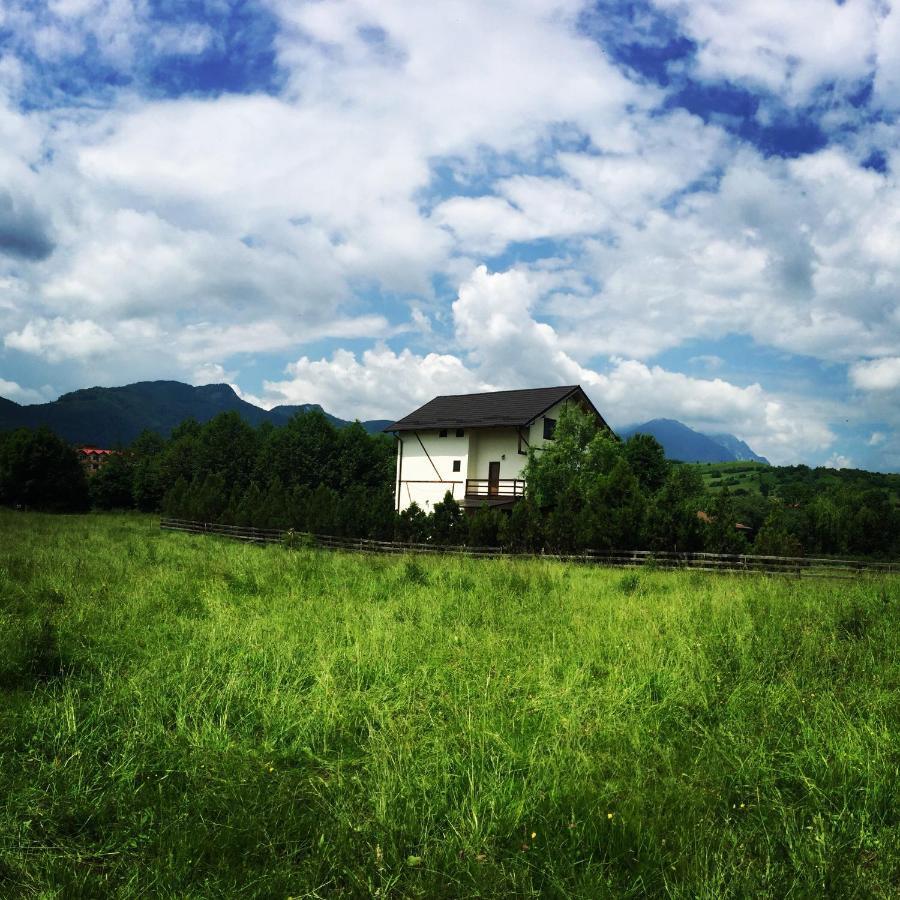 Bran White Clouds House And Chalet Zewnętrze zdjęcie